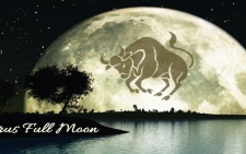 Full Moon Update 11-12-19