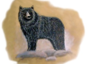 Birth Totem - Bear
