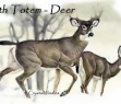 Birth Totem - Deer