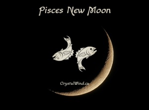 The February 2020 New Moon at 5 Pisces Pt. 2