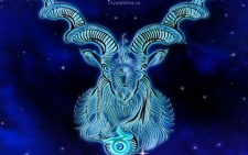 Capricorn 2022 - Reliable Organized Earth Spirits