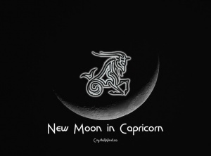 The January 2021 New Moon at 24 Capricorn Pt. 2