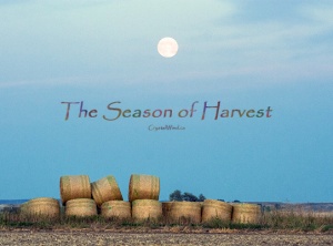 Favorable Transits in the Season of Harvest
