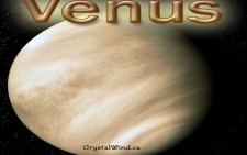 Venus in Taurus Brings Enjoyment!