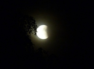 Life Under A Lunar Eclipse: Nothing Is Quite As It Seems..