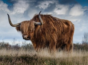 March 2019 - April 2026 Uranus in Taurus