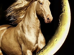 New Moon Jan 24 - Wish Grantor – Freedom - Wake Up Call - Archangel Michael