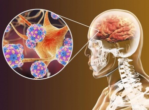 Diverse States Of Awareness, Brain Function And The Formation Of Reality