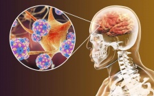 Diverse States Of Awareness, Brain Function And The Formation Of Reality