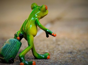 Stop Dragging Your Baggage Of Stories Into Every Next Moment