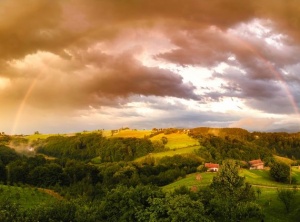 Why Do We Fail To See the Beauty All Around Us?