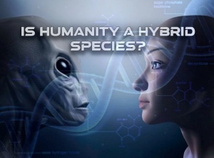 Is Humanity A Hybrid Species?