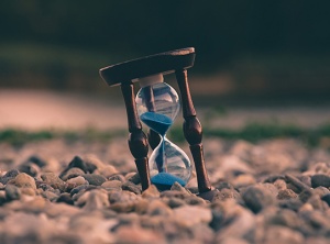 Priorities For The Wisdom Years