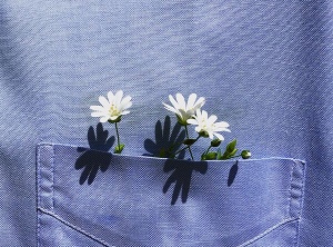 Tethered To The Sweetness Of Life