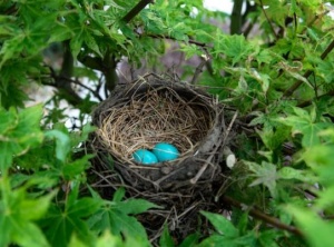 A Story Of Hope And New Beginnings