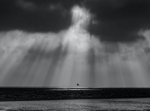 Guardian Angel
