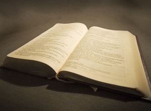 Are Holy Scriptures Infallible?