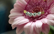 Happiness and Love