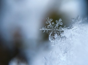 Like a Snowflake, You Are Eternal