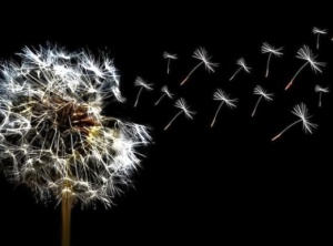Why Hope Matters
