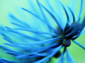 3 ways to practice Kindfulness