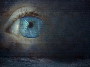 The Amazing Power Of Observation