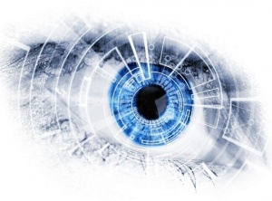 How Your Perception Creates Your Reality