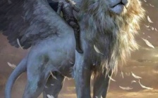 Galactic Wisdom: Star Navigation 101 and the Lions Gate