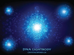 DNA LIGHTBODY: Hormonal System Re-Writes in Progress