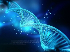 Understanding Consciousness And DNA In A Whole New Way