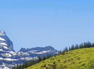 3 Reminders When Seeking Closure