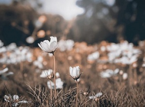 Working Through Our Disappointments