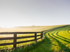 My Favorite Thing About Boundaries