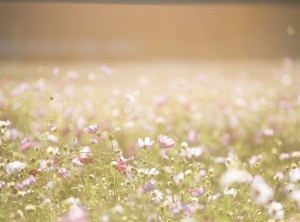 One Simple Practice to Shift Your Energy