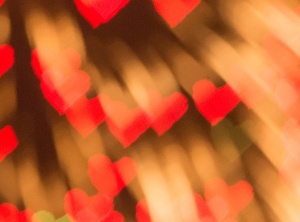 5 Tips for When You are Feeling Overwhelmed
