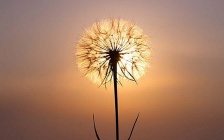 How to Stay Hopeful