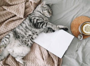 My Favorite Self-Care Practice Right Now
