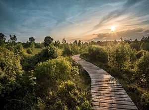 4 Simple Reminders to Spark Optimism