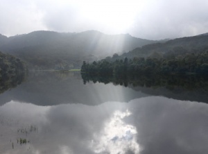 The Importance of Self-Reflection
