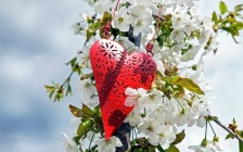 5 Affirmations for Summertime Self-Love
