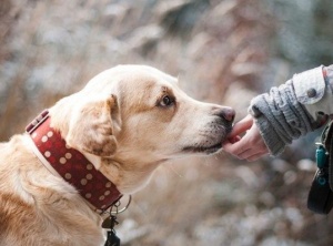 6 Ways to Become Trustworthy