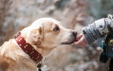 6 Ways to Become Trustworthy