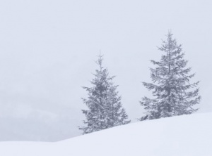 5 Habits I’m Releasing in 2022