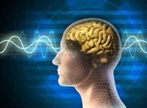 What Are Binaural Beats? What Do Binaural Beats Do? Brainwave Entrainment