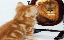 Why Is It So Difficult to Stay Positive?