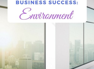 Conscious Success in Your Business: Environment