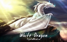 A Message from the Family of the White Dragons About Our Current Final Phase of Ascension