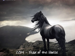 Lighting Your Truth to Freedom, Passion & Inspired Leadership – Closing Chapter 2013 to Write Chapter 2014′s Lively & Instinctual Year of the Horse