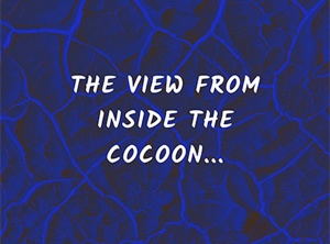 Enter the Cocoon