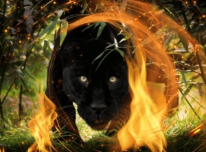 Fire Ceremony for Jaguar Wisdom